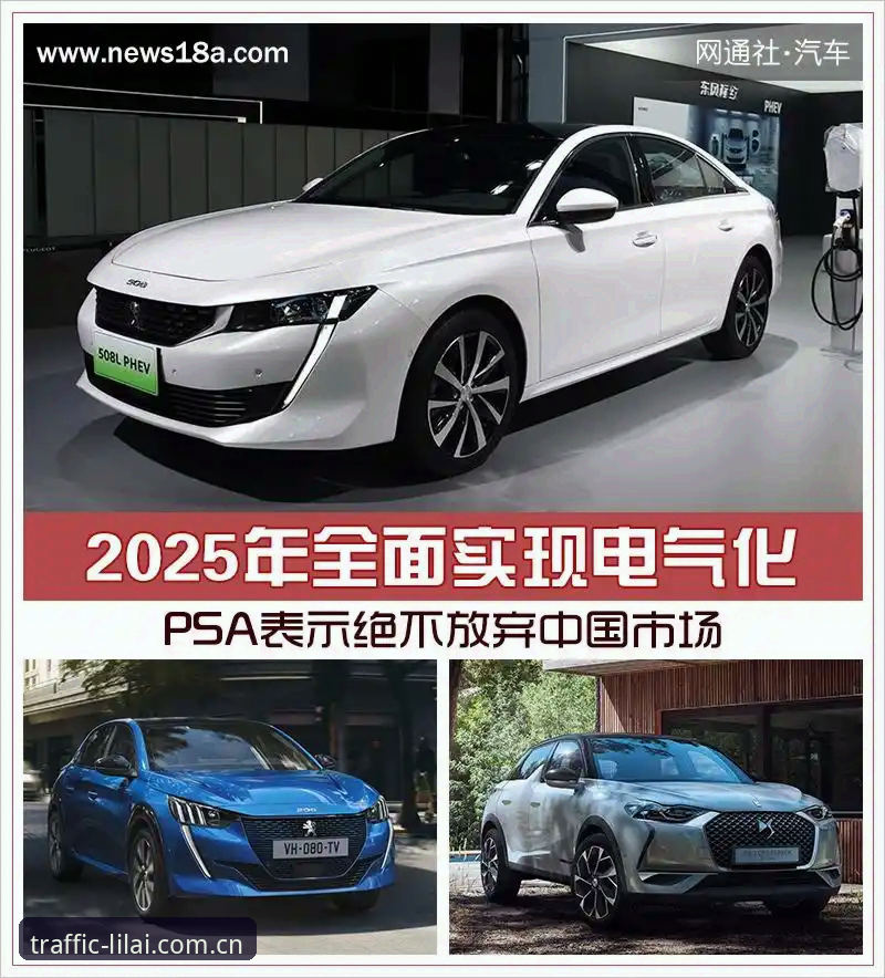 出行更畅通的信息信道CN版与常规版对比：哪个更适合你的2025观赛需求？